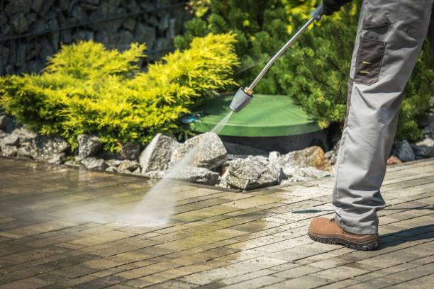 Best Soft Washing  in , WA